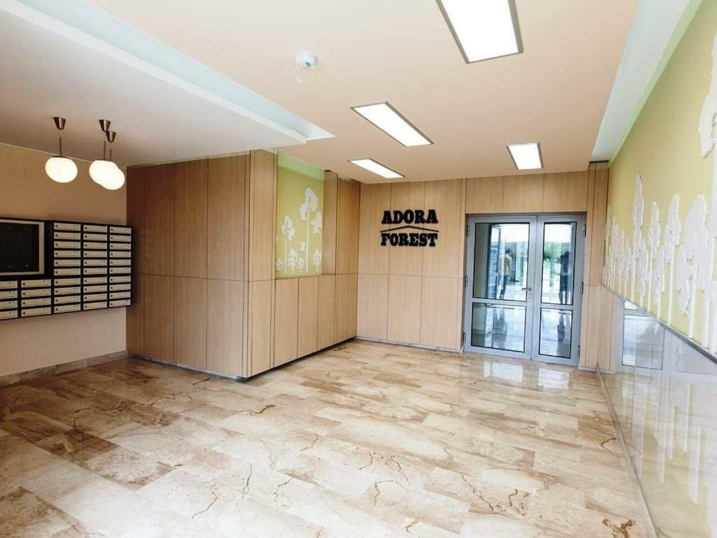 Forest Apartment Timişoara Exterior foto